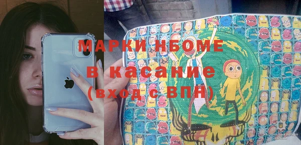 дживик Бородино