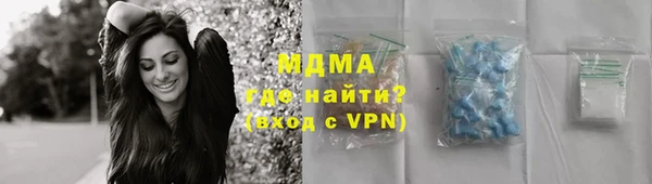 дживик Бородино