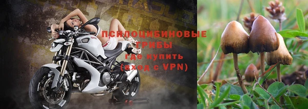 мескалин Бронницы